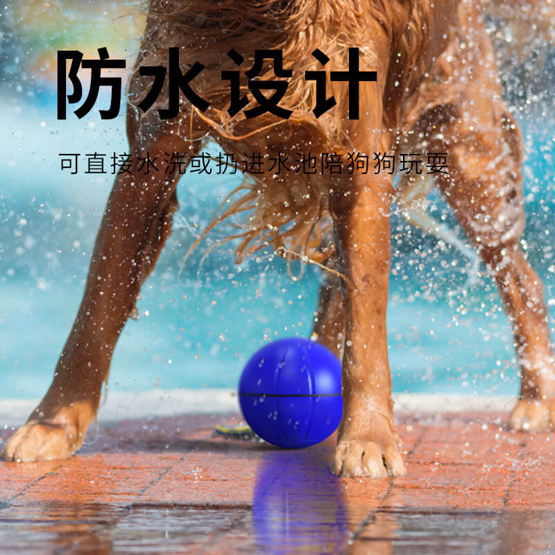 自動(dòng)寵物玩具球-藍(lán)